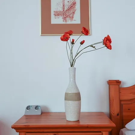 Arthotel Ana Panorama