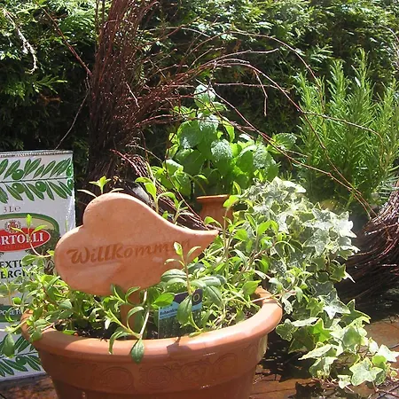 Arthotel Ana Panorama Marktoberdorf