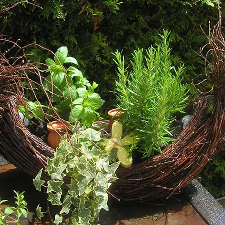 Arthotel Ana Panorama 3*