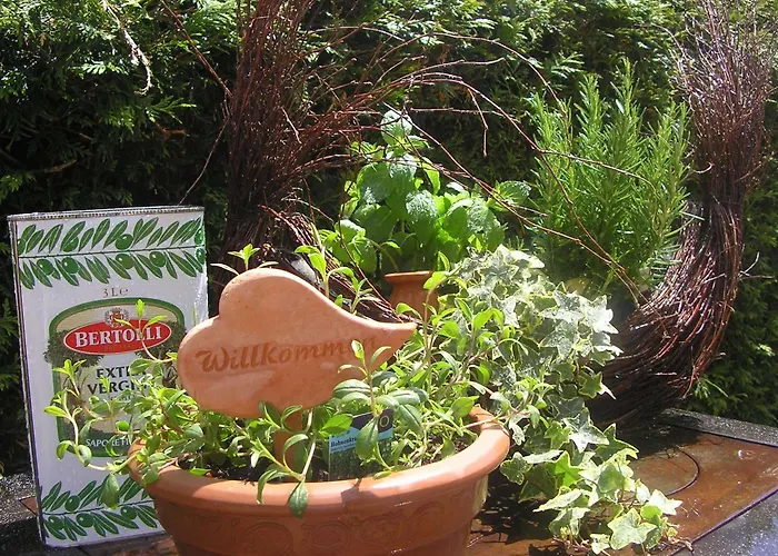 Ana Panorama, Trademark Collection By Wyndham מארקטאוברדורף