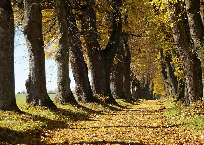 Ana Panorama, Trademark Collection By Wyndham מלון מארקטאוברדורף